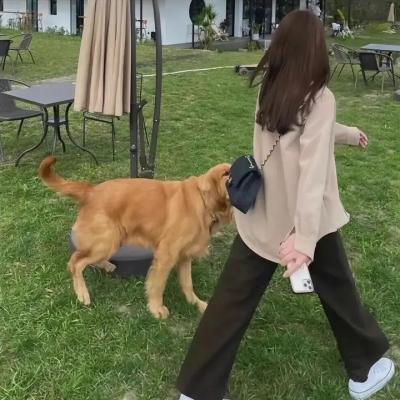 堂下何人